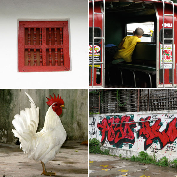 Window at Wat Muen Toom, Kid watching his friends pass after school, The perfect white rooster, Graffiti