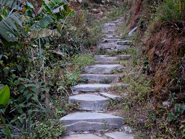 Stone path through the village
