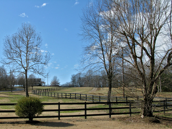 Horse fences