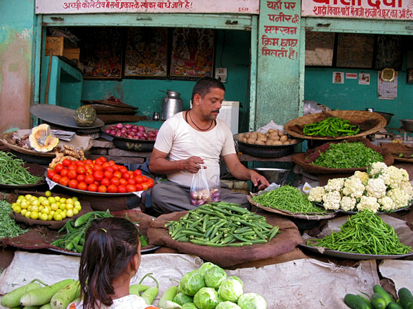 Nik and I purchased vegetables from this man in Udaipur, India for our local cooking class, and the our instructor sent a neighborhood girl with us so that we didn't have to haggle!!