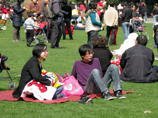 Barely enough room on the lawn to fly a kite or sit with your family.