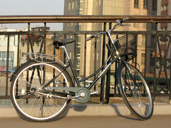 GIANT bike