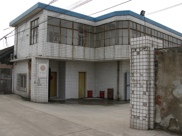 Crazy tile building with amazing windows