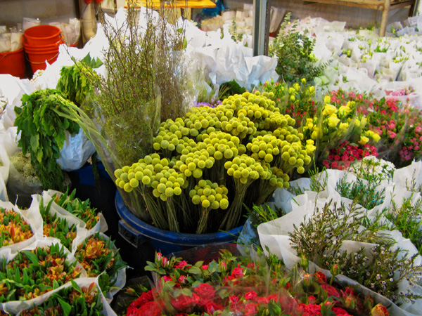 And long-stems with yellow spheres on top.