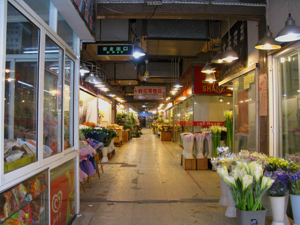 And I did indeed ride bikes all day. First, I went to the flower market.