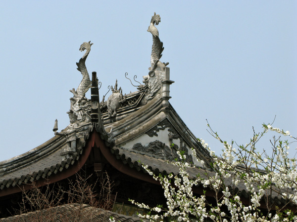 Roof Detail