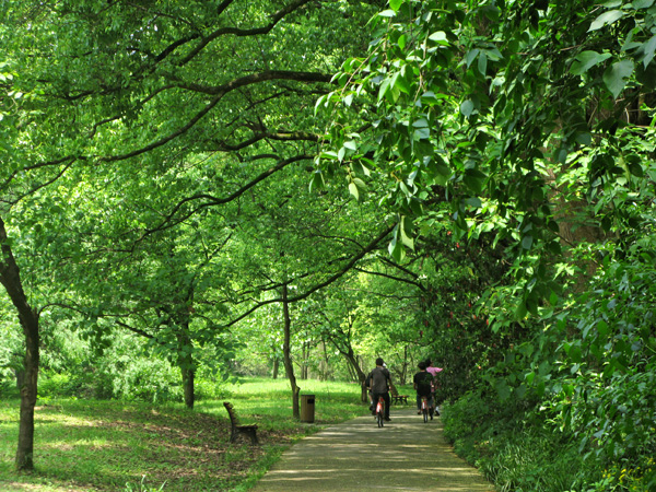 Biking in the Botanical Gardens