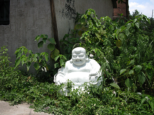 Happy Buddha