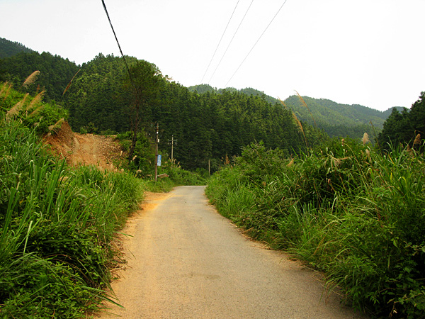 The road deeper into the mountains