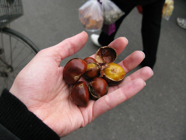 Chestnuts roasted on the street