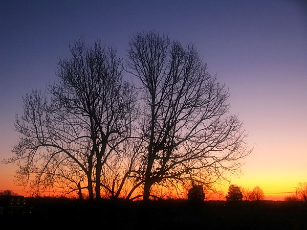 Tennessee Sunrise