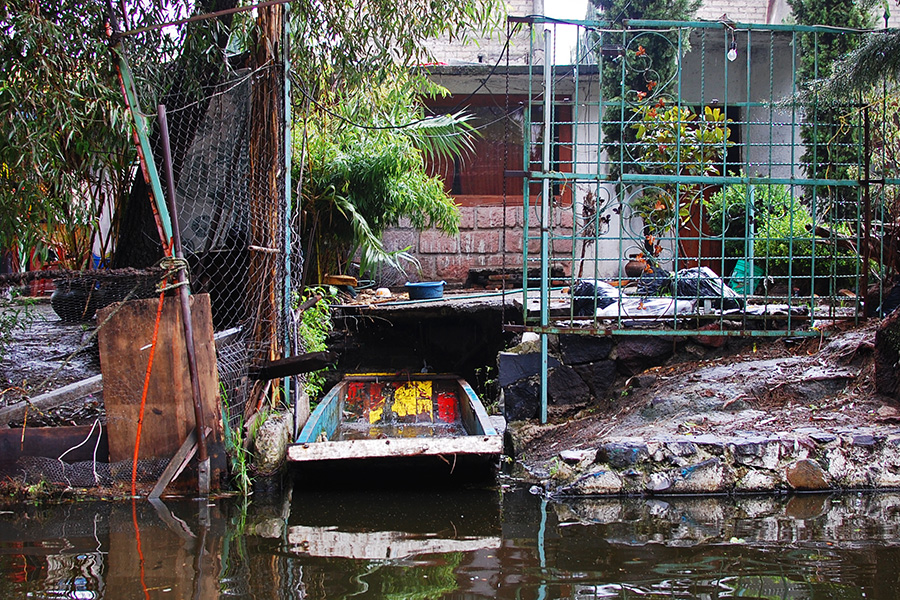 A local's dock