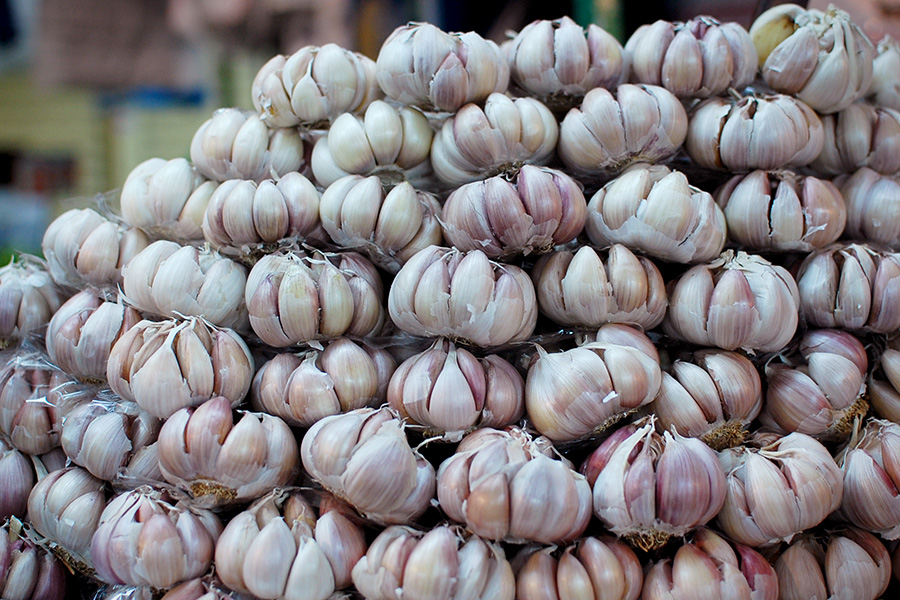 Garlic