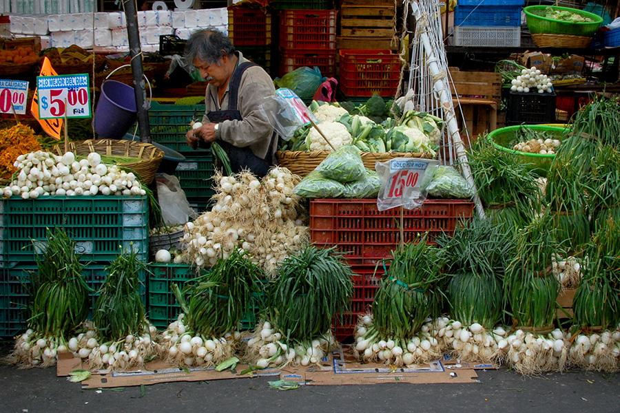 Onion Man