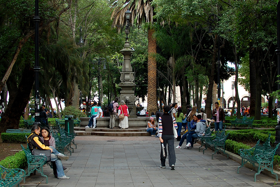 Jardin Centenario