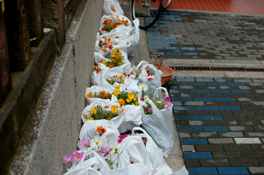 Street side flowers ready for pick up?