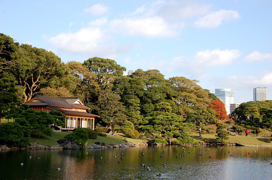 The tea house at Hamarikyu Gardens