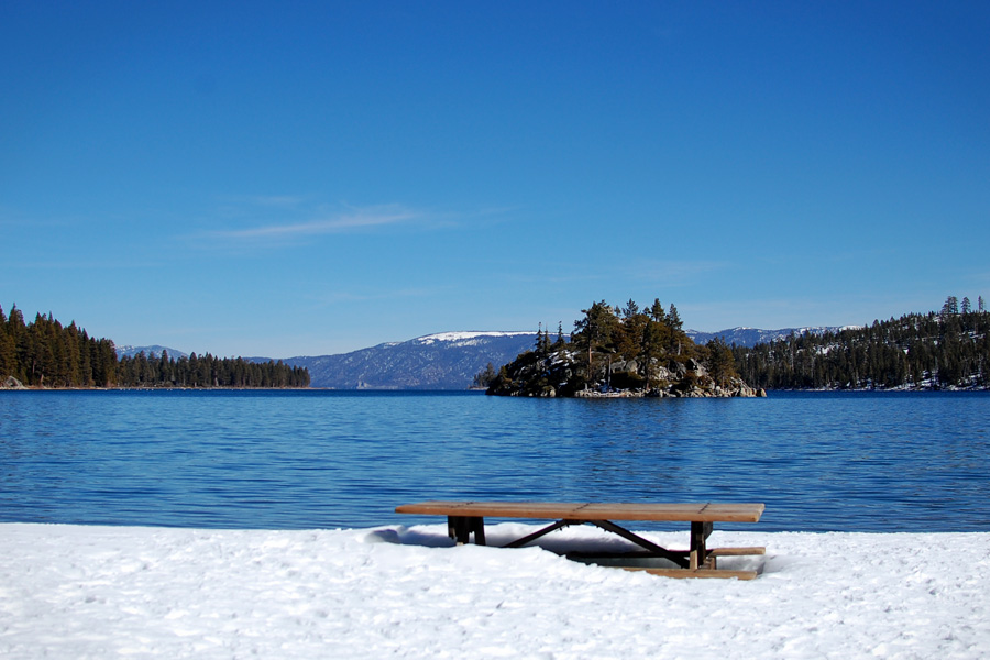 The Picnic Spot