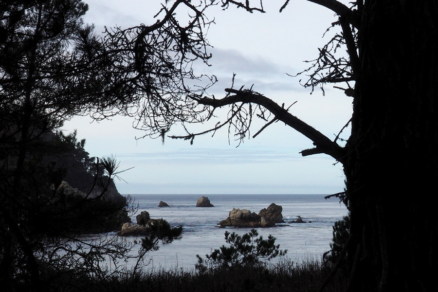 20141215_Point-Lobos_1412_011