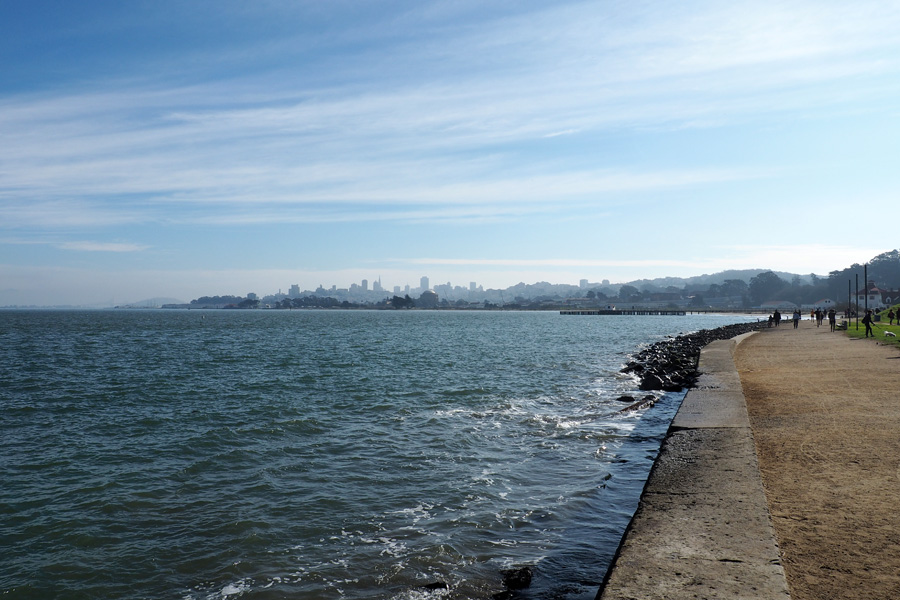 Crissy Field