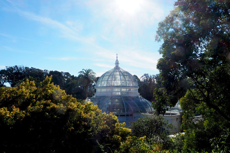 The Conservatory of Flowers