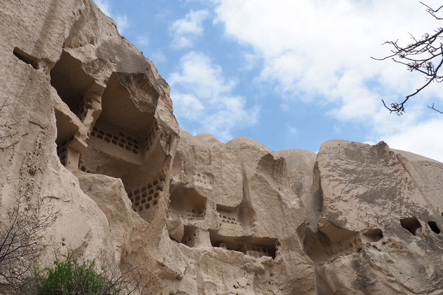 We believe that the small recesses carved into the stones are bird houses