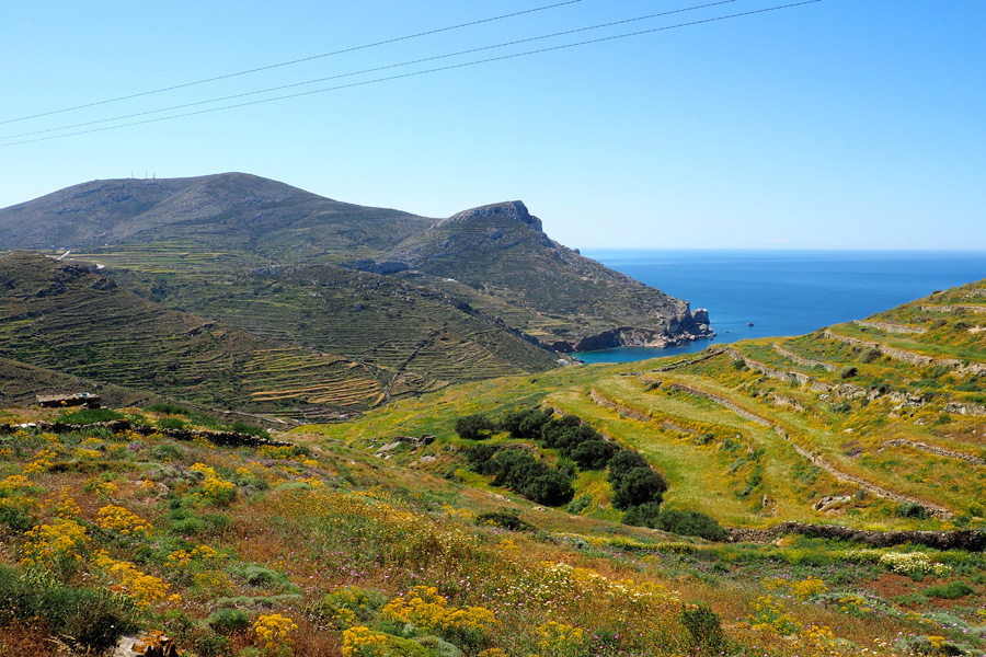 The island landscape