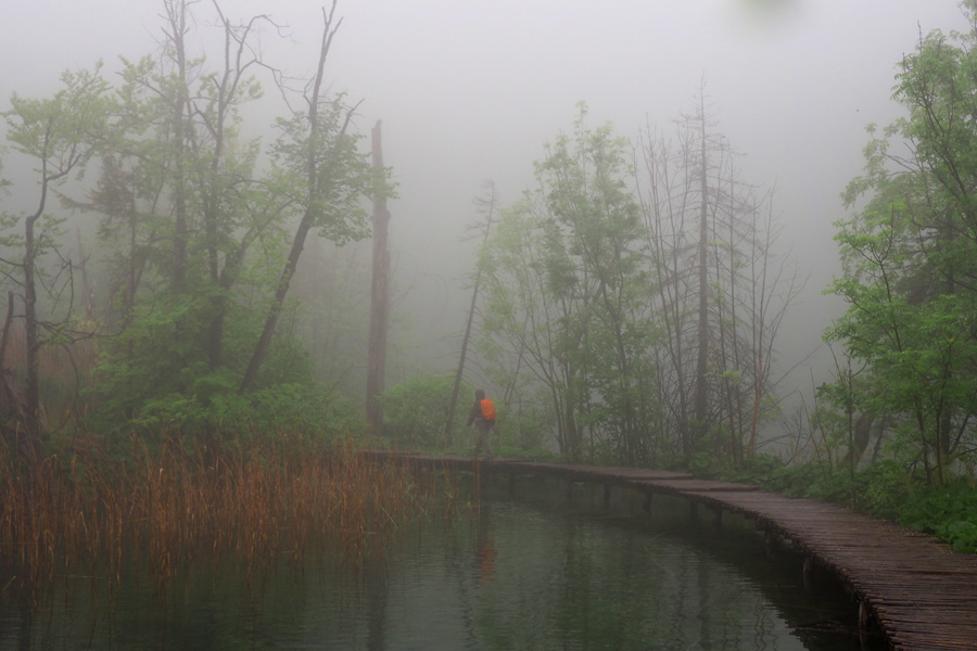 Hiker