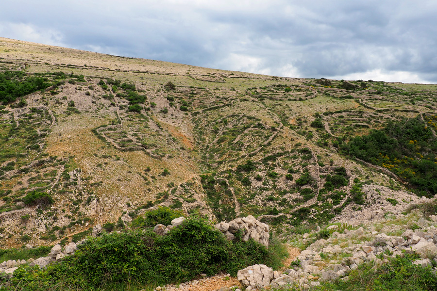 Krk Countryside