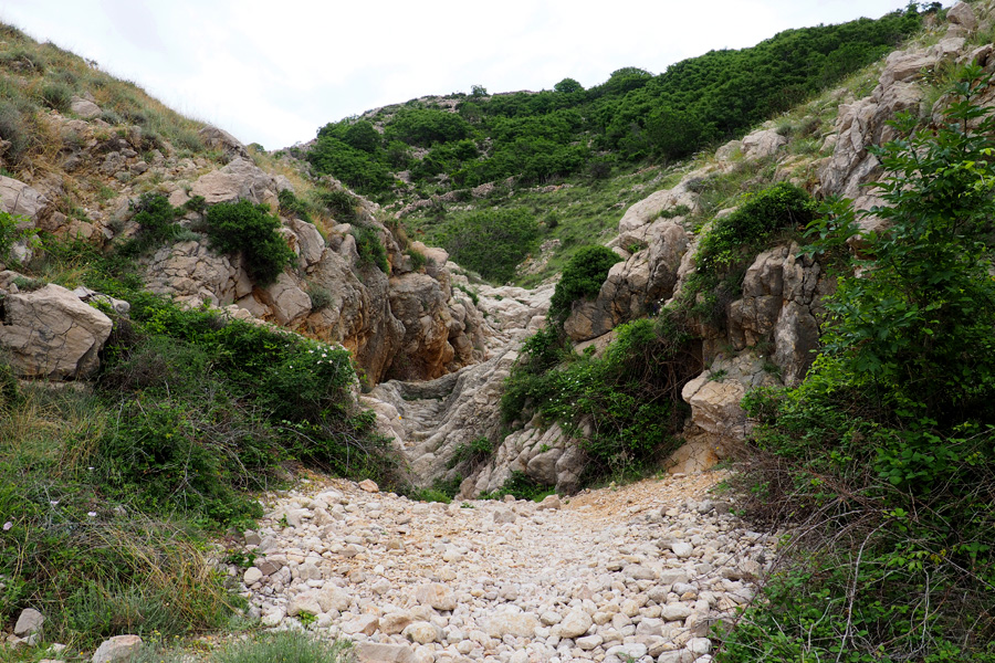 The smallest of rock forms in the canyon