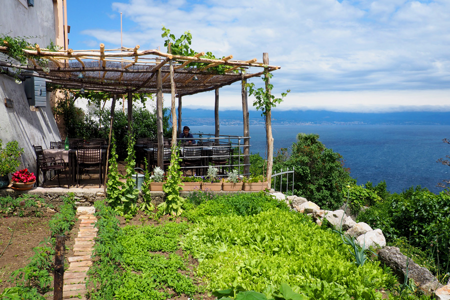 The dining terrace