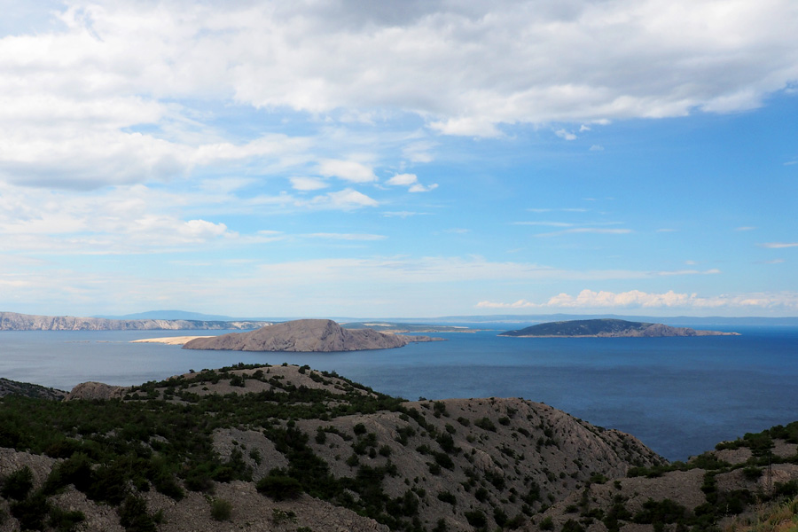 The Dalmatian Coast