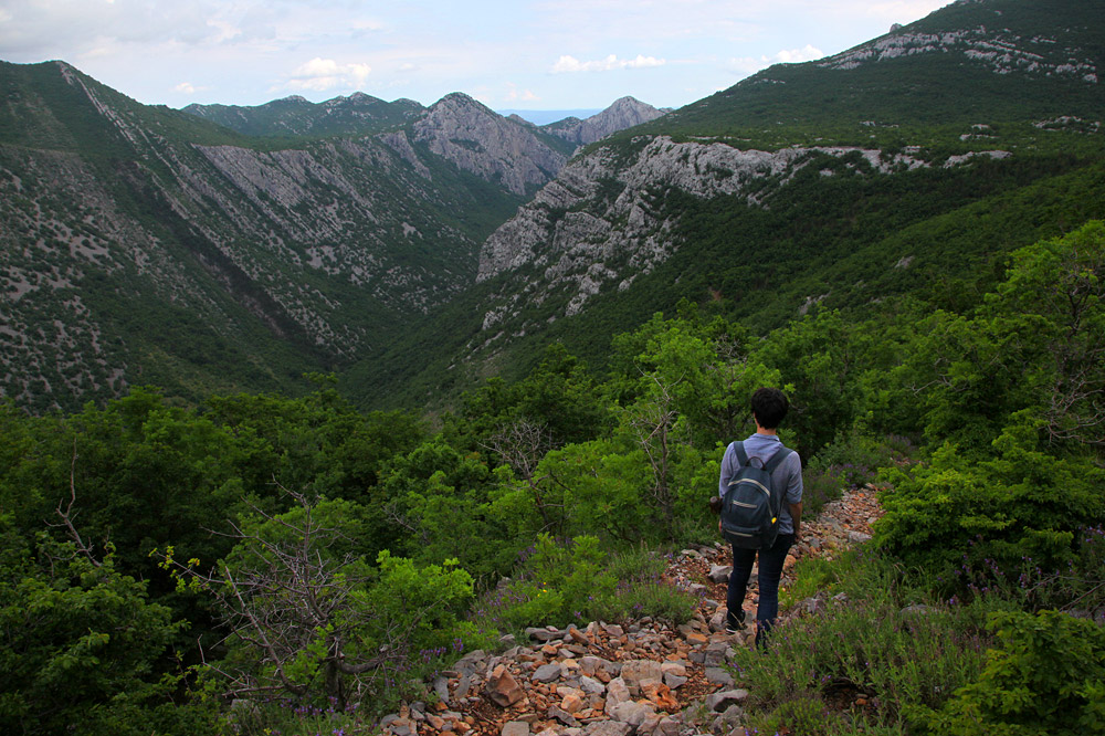 Hiking near the ridge