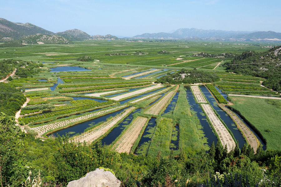 Agriculture of the Neretva River Delta