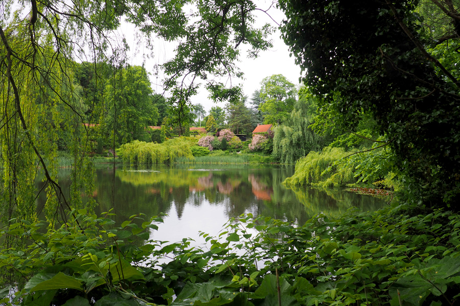 Louisiana garden