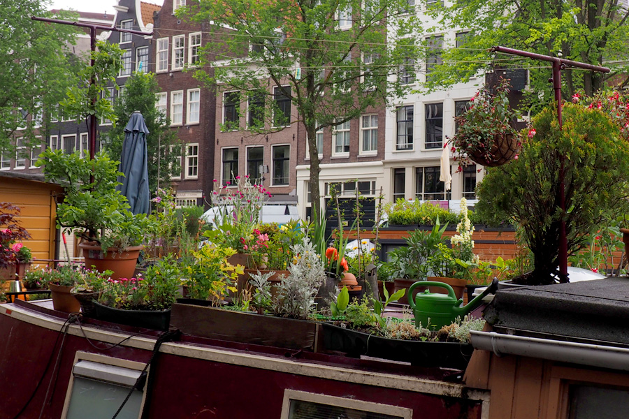 Boat House Garden