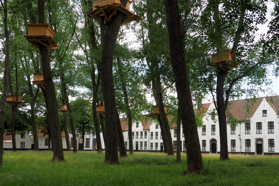 A monastery with tree houses