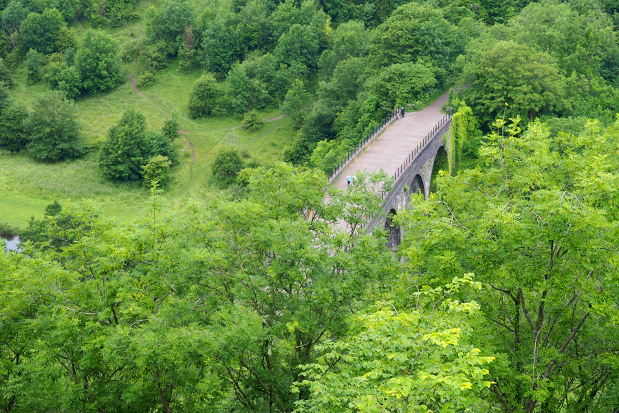 Lush hills