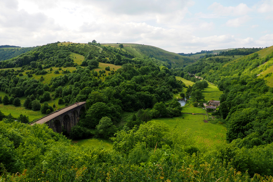 Trees, bridge, castle